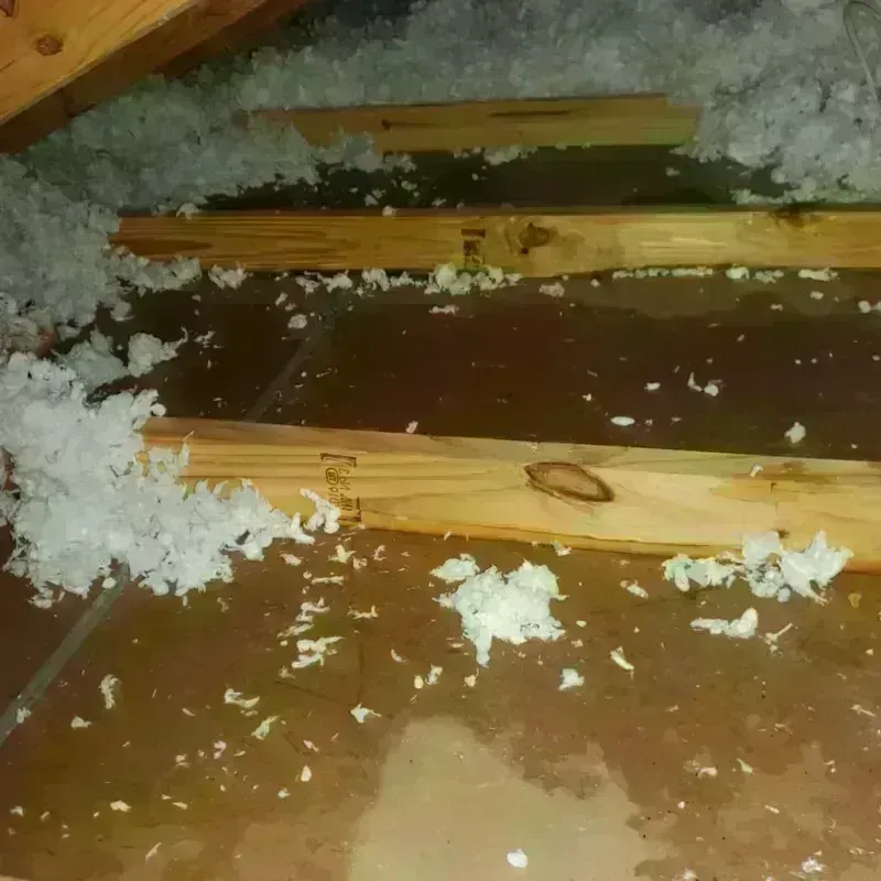 Attic Water Damage in Jewett, TX